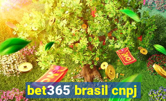 bet365 brasil cnpj